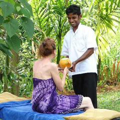 Отель SeethaRama Ayurveda Resort Шри-Ланка, Берувела - отзывы, цены и фото номеров - забронировать отель SeethaRama Ayurveda Resort онлайн бассейн фото 2