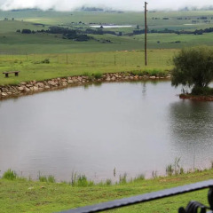 Отель Gooderson Kloppenheim Country Estate 4* Стандартный номер с различными типами кроватей фото 2
