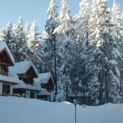 Отель Saint George Borovets Hotel Болгария, Боровец - отзывы, цены и фото номеров - забронировать отель Saint George Borovets Hotel онлайн фото 3
