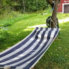 Отель Dohnafors Sommarhem развлечения