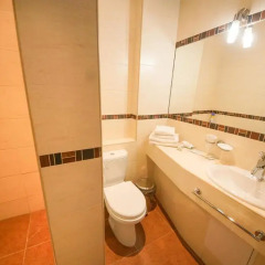 Гостиница Британика Стандартный номер разные типы кроватей фото 17