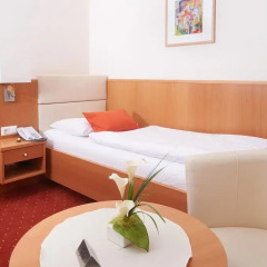 Отель Pension Sprinzl 3* Стандартный номер фото 3
