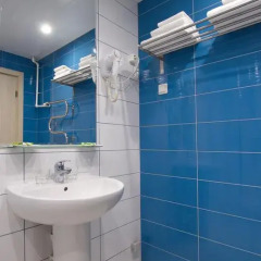 Гостиница Репинская 3* Номер Комфорт с различными типами кроватей фото 14