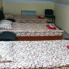 Hostel Vitan 2* Стандартный семейный номер с двуспальной кроватью фото 7