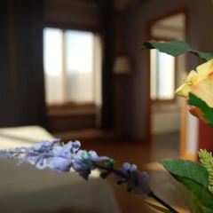 Hotel Moli de la Torre 3* Стандартный номер 2 отдельные кровати фото 3