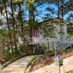 Отель Pine Hill Homestay Dalat фото 15