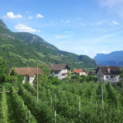Отель Oberschoeberlehof Меран фото 9