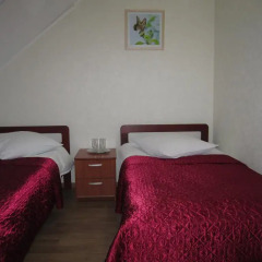 Гостиница Antonovo Guest House в Великом Новгороде отзывы, цены и фото номеров - забронировать гостиницу Antonovo Guest House онлайн Великий Новгород комната для гостей фото 5