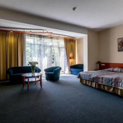 Отель Perkuno Namai Hotel Литва, Каунас - 2 отзыва об отеле, цены и фото номеров - забронировать отель Perkuno Namai Hotel онлайн комната для гостей фото 2