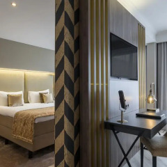 Plaza Hotel 4* Номер Делюкс фото 4