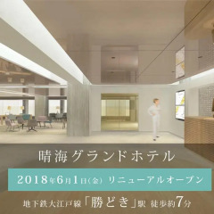 HOTEL FUKURACIA Harumi спа