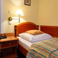 Villa Savoy Spa Park Hotel 4* Стандартный номер с различными типами кроватей фото 17