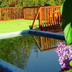 Hotel Elina Сочи детские мероприятия
