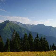 Отель Pokut Doğa Konukevi фото 4