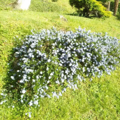 Отель Résidence La Peyrie фото 6