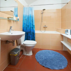 Отель Regina House Вильнюс ванная