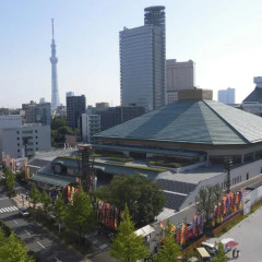 Pearl Hotel Ryogoku балкон