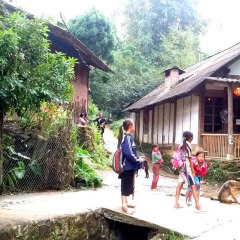 Отель Hoang Kim Homestay Шапа пляж