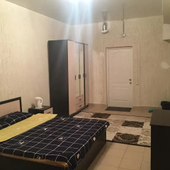 Mini-Hotel Silver комната для гостей фото 3