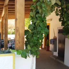 Отель Casa De Campo Cantinho Da Serra интерьер отеля