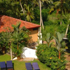 Отель Panchi Villa Шри-Ланка, Бентота - отзывы, цены и фото номеров - забронировать отель Panchi Villa онлайн фото 4