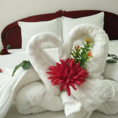 Hue Valentine Hotel 2* Стандартный номер с двуспальной кроватью фото 3