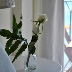 Отель Taorminaxos wonderful seaview Таормина комната для гостей фото 4