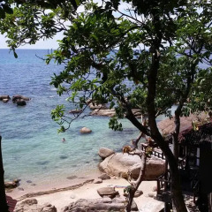 Отель Clear View Resort 3* Бунгало Делюкс с различными типами кроватей фото 5