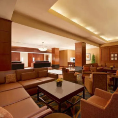Отель Hilton Suites Chicago/Magnificent Mile развлечения