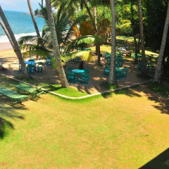 Отель Ypsylon Tourist Resort Шри-Ланка, Берувела - отзывы, цены и фото номеров - забронировать отель Ypsylon Tourist Resort онлайн фото 4