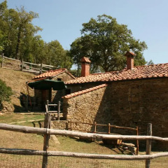 Отель Tribbiano Ареццо