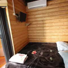 Гостиница Guest house Morskoi otdyh в Ольгинке отзывы, цены и фото номеров - забронировать гостиницу Guest house Morskoi otdyh онлайн Ольгинка сауна