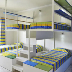 Nsts Campus Residence And Hostel Кровать в мужском общем номере фото 4