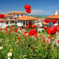 Vineyards Hotel Ахелой пляж фото 2