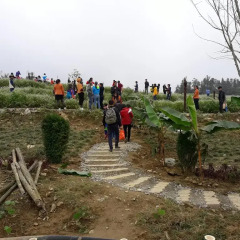 Отель Dang Phung Homestay Шапа приотельная территория