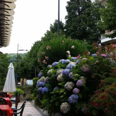 Hotel Ambrosi Фьюджи