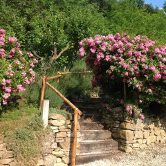 Отель B&B Mulino Barchio Италия, Монтекассино - отзывы, цены и фото номеров - забронировать отель B&B Mulino Barchio онлайн фото 12
