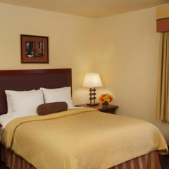 Larkspur Landing Milpitas - An All-Suite Hotel 3* Люкс с различными типами кроватей фото 3
