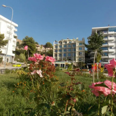 Hotel Oasis фото 6