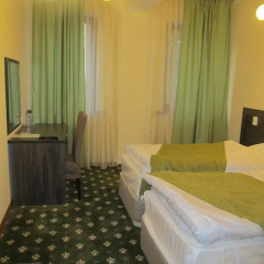 Гостиница Golden Palace 3* Стандартный номер с 2 отдельными кроватями фото 3