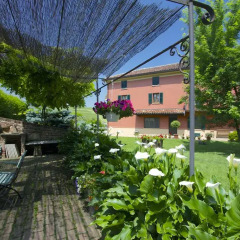 Отель Accornero Giulio E Figli B&B Виньяле-Монферрато фото 4