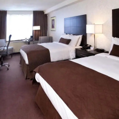 Отель Best Western Primrose Hotel Downtown Канада, Торонто - отзывы, цены и фото номеров - забронировать отель Best Western Primrose Hotel Downtown онлайн комната для гостей фото 3