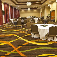 Отель Holiday Inn Vicksburg США, Виксбург - отзывы, цены и фото номеров - забронировать отель Holiday Inn Vicksburg онлайн помещение для мероприятий фото 2
