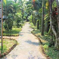 Отель Dragon Sea Homestay Хойан фото 20