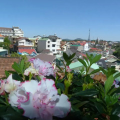 Отель Dalat Santa Claus Кровать в общем номере фото 7