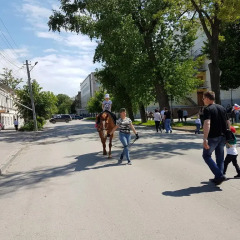 Гостиница Hostel Muraveynik в Таганроге отзывы, цены и фото номеров - забронировать гостиницу Hostel Muraveynik онлайн Таганрог спортивное сооружение