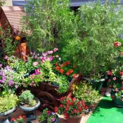 Гостиница AdlerOk Guest House фото 4