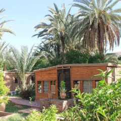 Отель Ecolodge Bab El Oued Maroc Oasis Полулюкс с различными типами кроватей фото 5