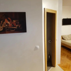 Отель Amaro Rooms Нови Сад комната для гостей фото 3