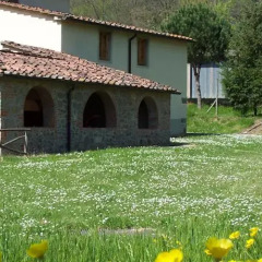 Отель Agriturismo Montassi E Bruscolaio Монтеварчи фото 4